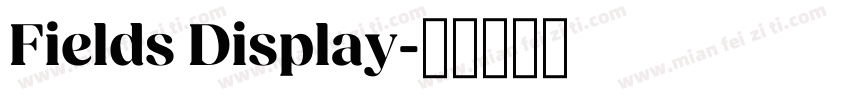 Fields Display字体转换